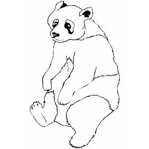 Sitting Panda coloring page