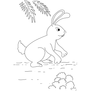 Sneaky Bunny coloring page