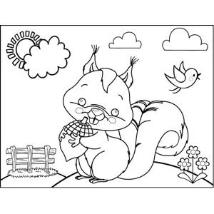 Squirrel with Acorn coloring page