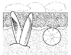Surf Boards and Beach Ball coloring page