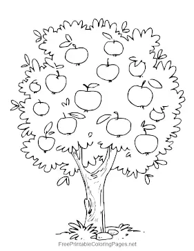 Apple_Tree coloring page