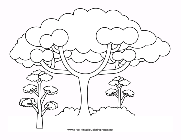 Arbor coloring page