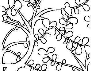 Branches with Leaves Coloring Page