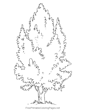 Bushy_Tree coloring page