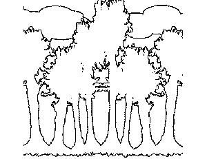 Cloudy Forest Coloring Page