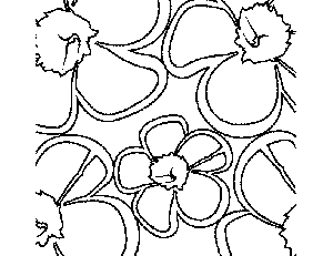 Daisy Print Coloring Page