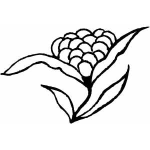 Flower Like Berry coloring page