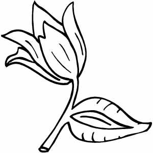 Flower On Branch coloring page