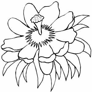 Flower With Bright Middle coloring page