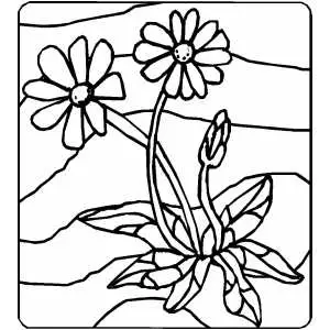 Flowers On Ground coloring page