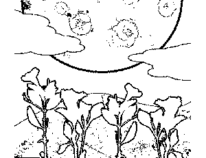 Flowers and Moon Coloring Page