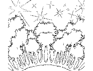 Forest and Stars Coloring Page