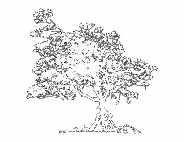 Growing coloring page