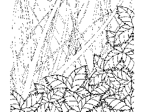 Leaf Pile Coloring Page