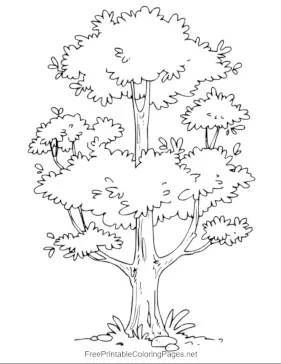 Leafy_Tree coloring page