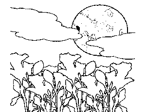 Moonlight Flowers Coloring Page