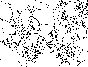 Morning Tree Tops Coloring Page