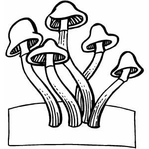 Mushrooms coloring page