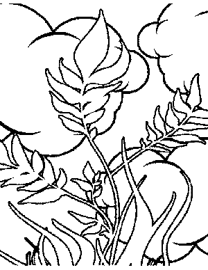 Plants and Clouds Coloring Page
