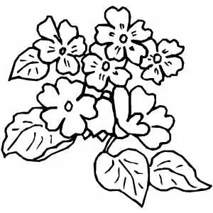 Seven Flowers coloring page