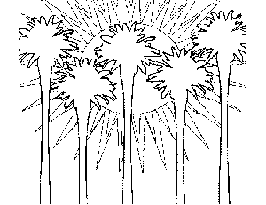 Southbeach Palms Coloring Page