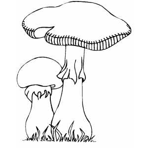 Spotted Mushrooms coloring page