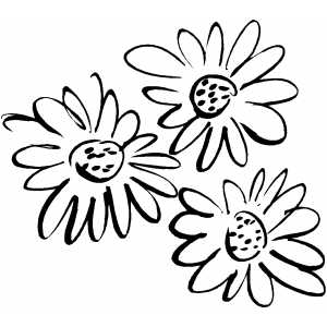 Three Flowers Sketch coloring page