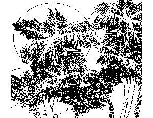 Tropical Tree Tops Coloring Page