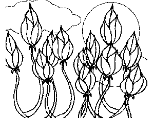 Tulips With Clouds coloring page