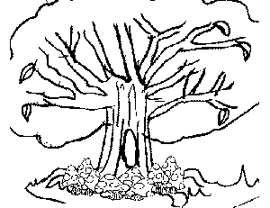 Wild Tree coloring page