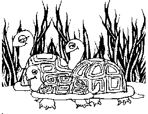 3 Turtles coloring page