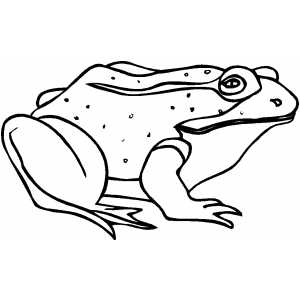 Sick Frog coloring page