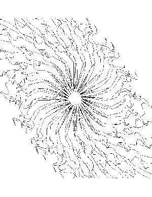 Sun Rays Coloring Page
