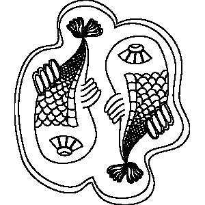 Ornate Pisces Zodiac Coloring Page