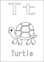 T is for Turtle