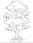 Leafy_Tree